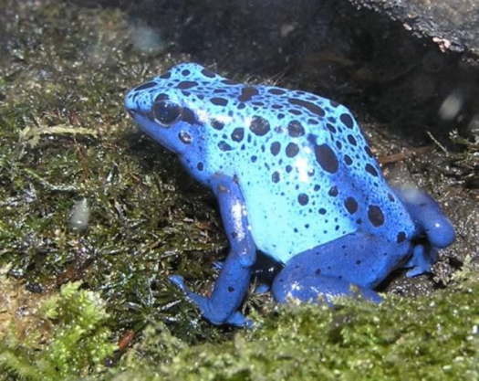 capture-decran-2017-01-01-09-56-22