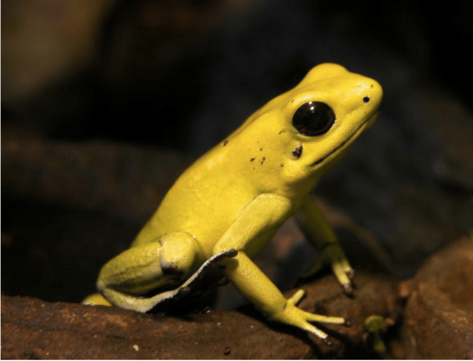 capture-decran-2017-01-01-09-57-07