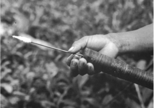 capture-decran-2017-01-01-09-57-37