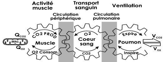 Capture d'écran 2017-08-13 13.38.38